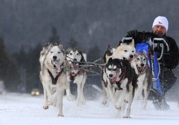 Scharnitz 2018 Infos