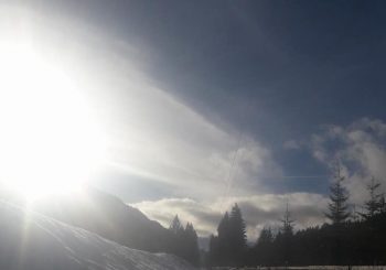 Schlittenhunderennen Scharnitz/Seefeld 2018