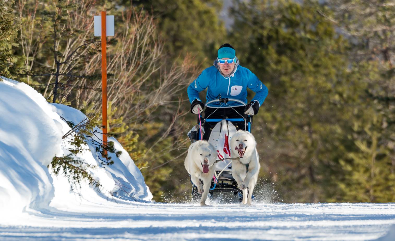 Wilkommen beim RSSC Austria